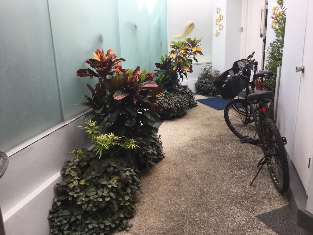 普拉别墅 サヌール 外观 照片